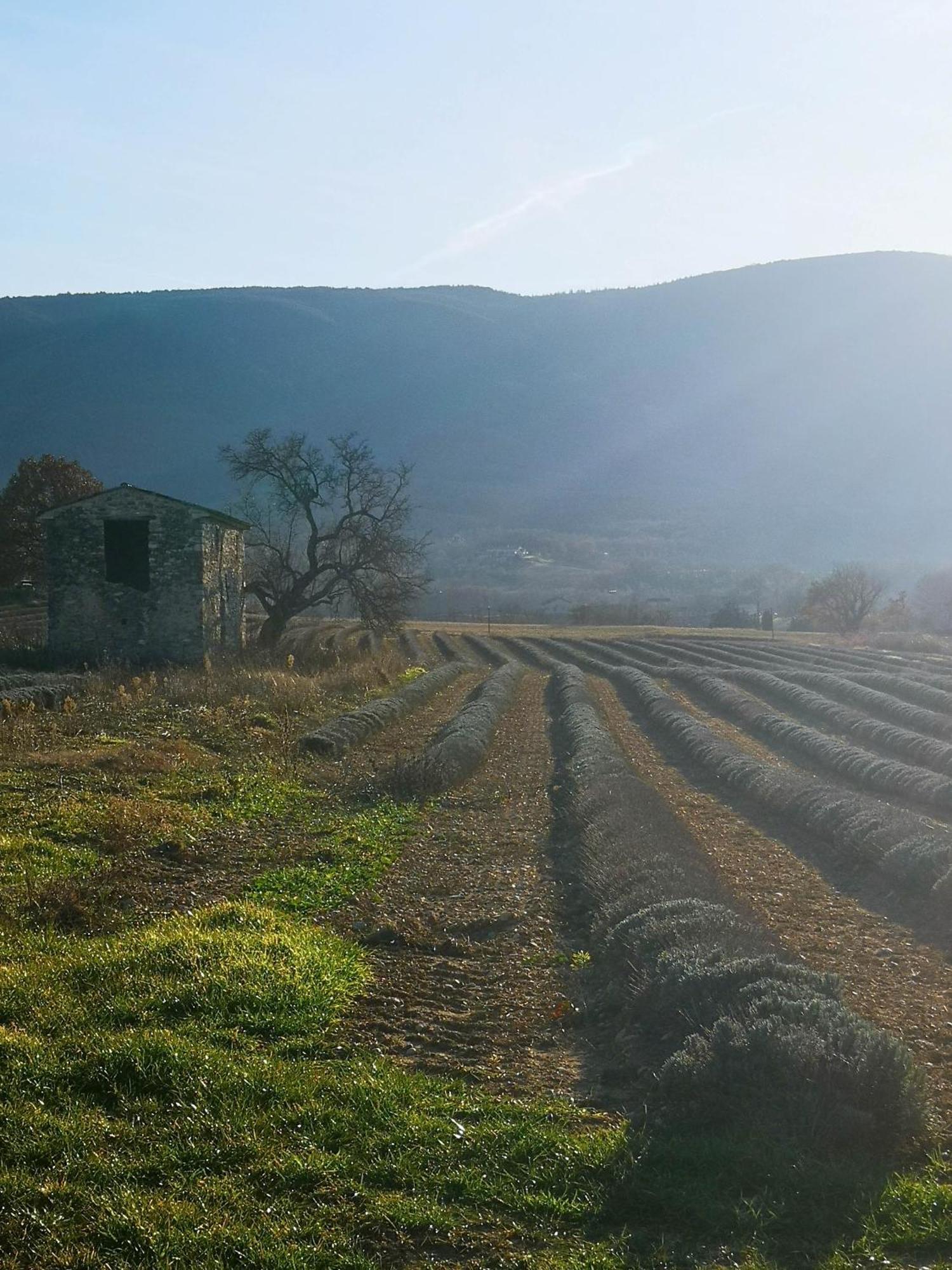 Saint-Martin-de-Castillon Le Petit Paradisヴィラ エクステリア 写真