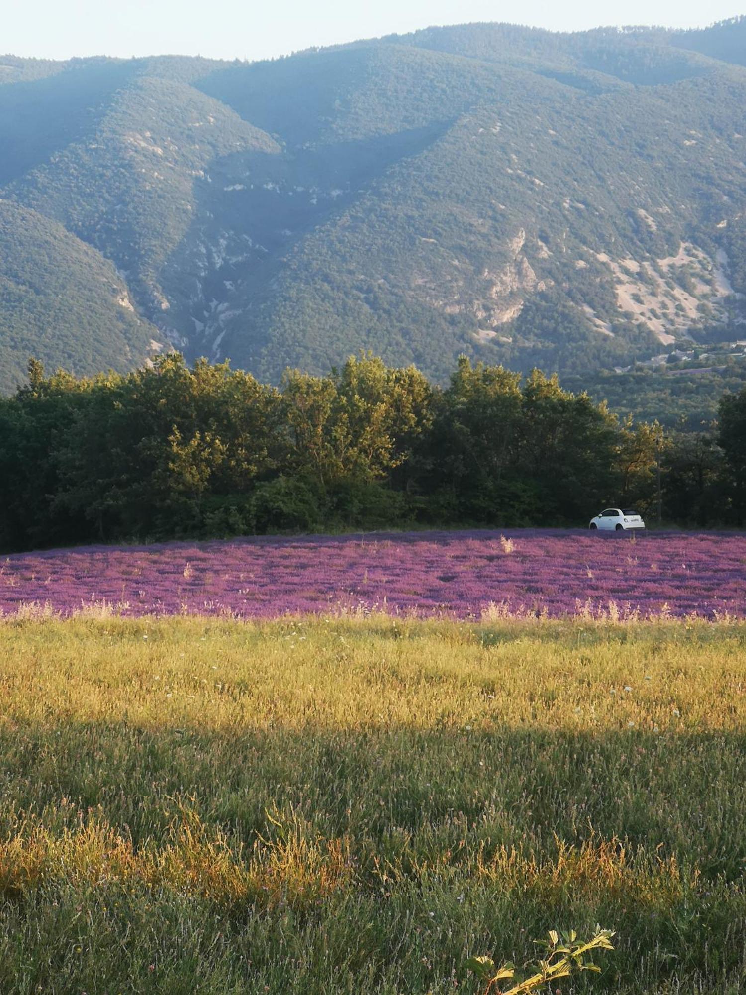 Saint-Martin-de-Castillon Le Petit Paradisヴィラ エクステリア 写真